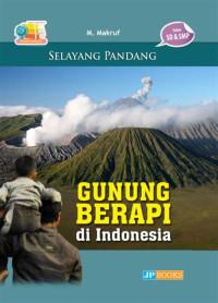 Image of selayang pandang Gunung berapi DI INDONESIA